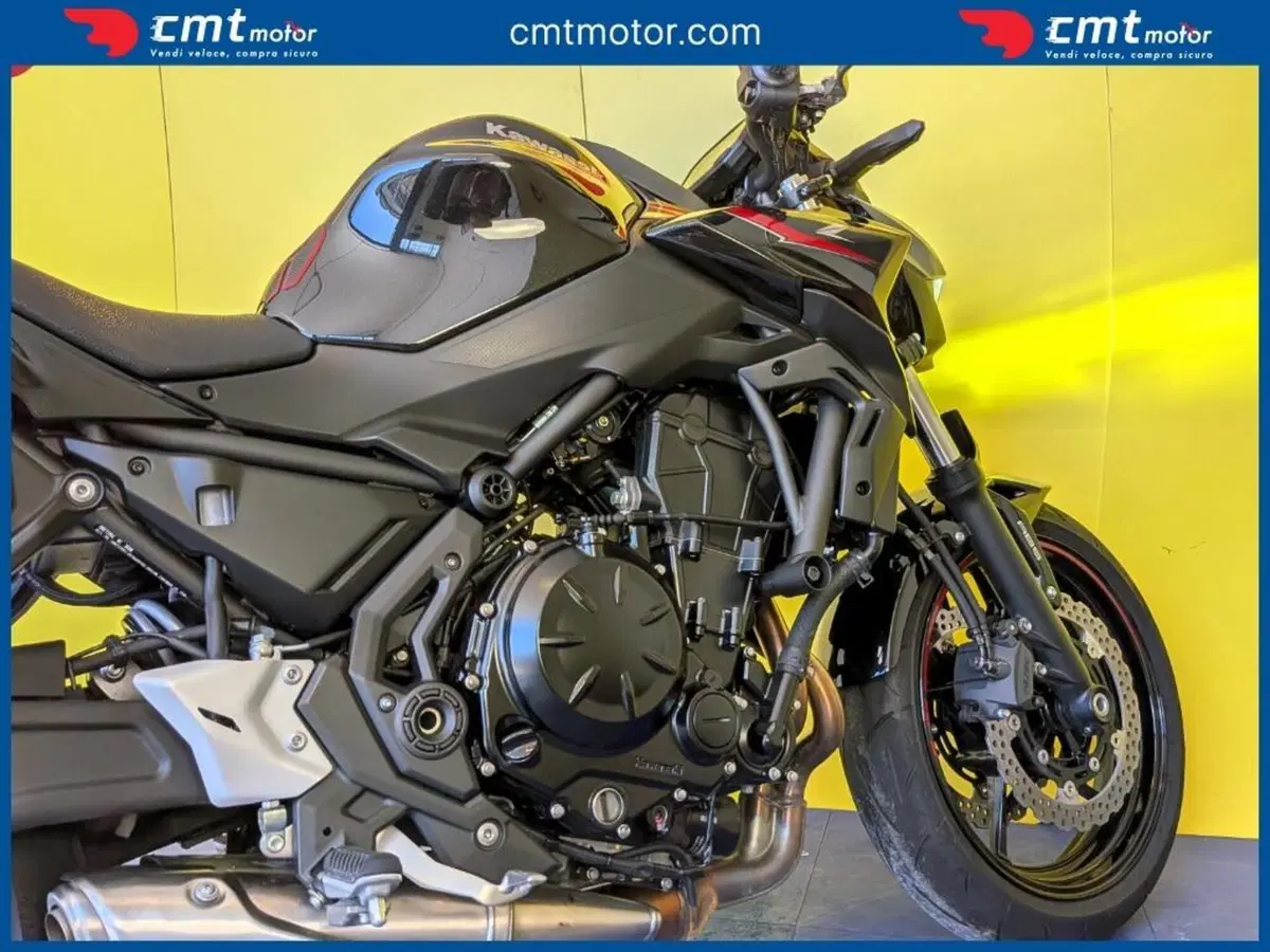 Kawasaki Z 650 (2021 - 24) (8)
