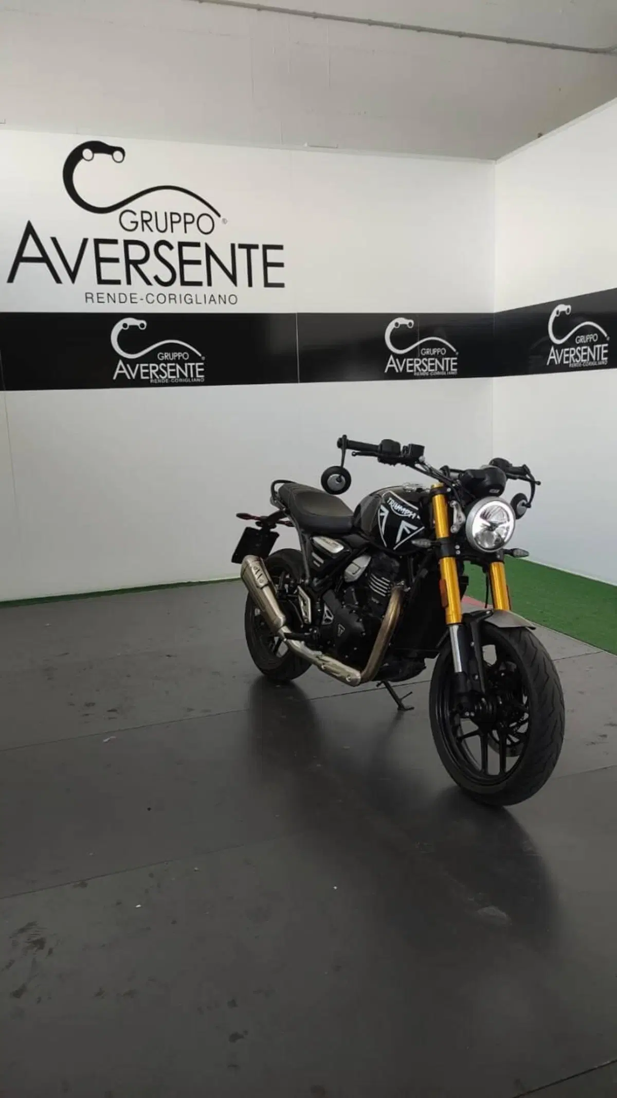 Triumph Speed 400 (2024 - 26) (4)