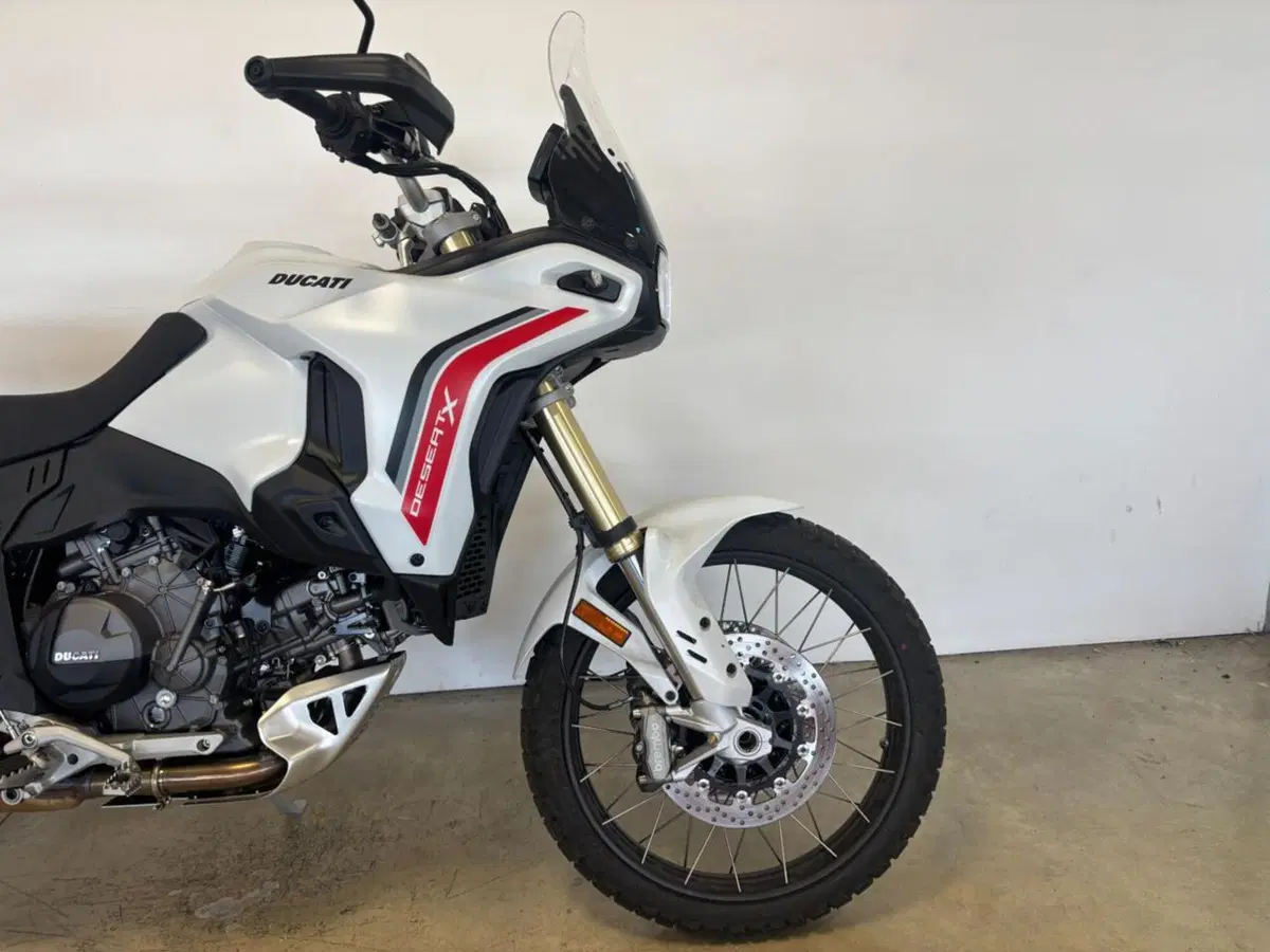 Ducati DesertX (2026) (5)