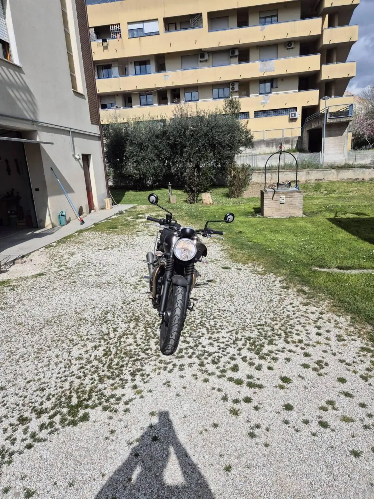 Triumph Street Twin 900 (2017 - 18) (4)