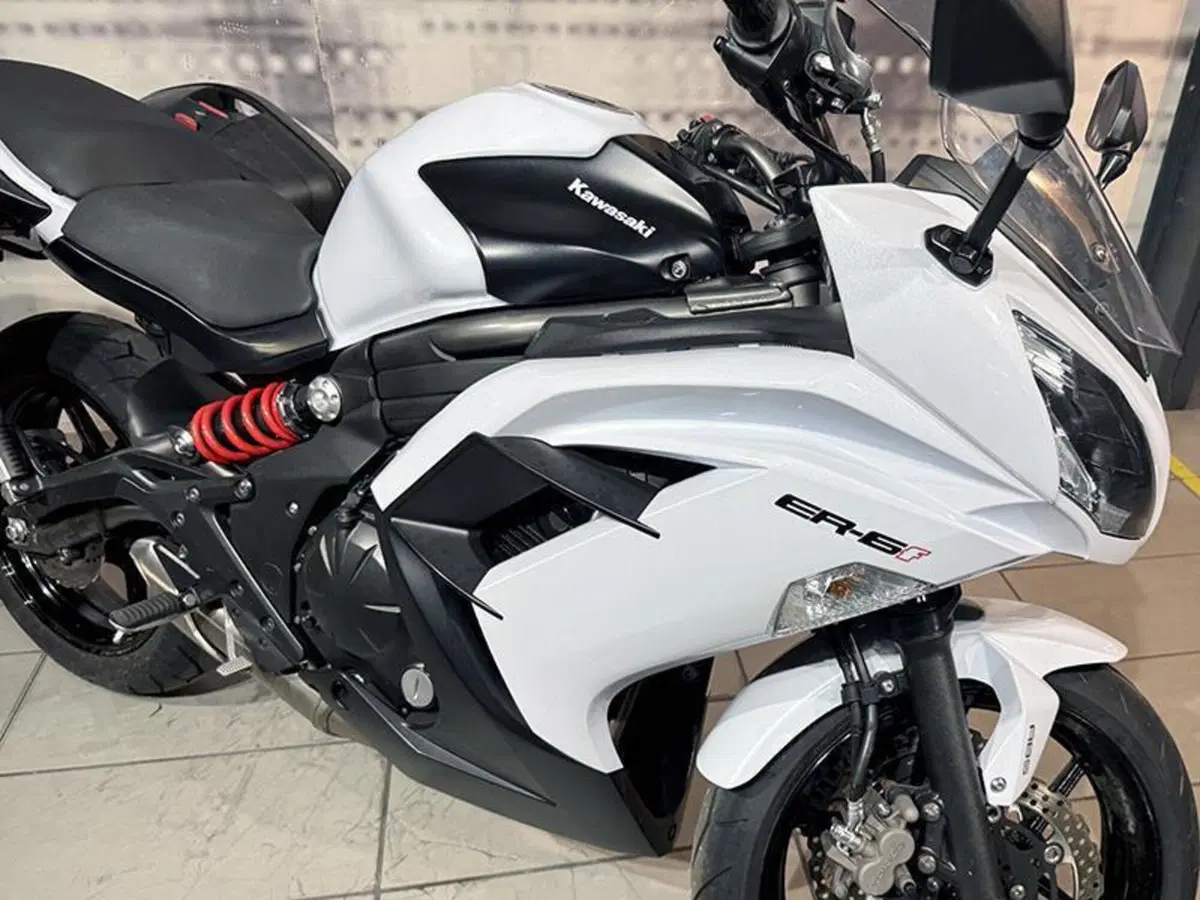 Kawasaki ER-6F ABS (2012 - 16) (8)