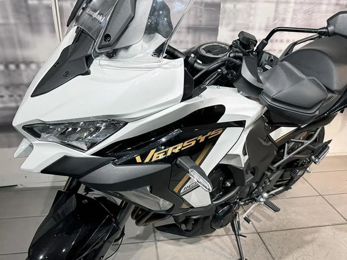 Kawasaki Versys 1100 SE (2025 - 26) (3)