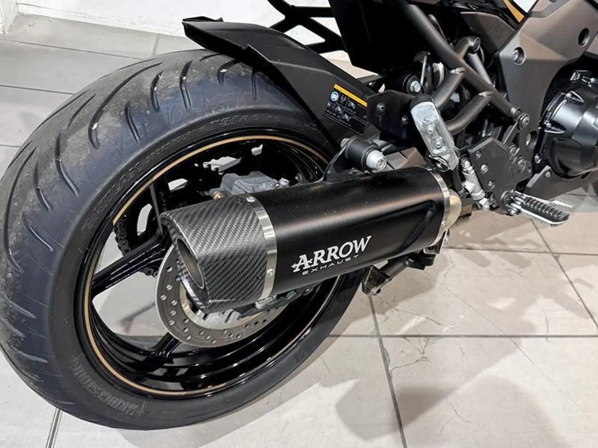 Kawasaki Versys 1100 SE (2025 - 26) (5)