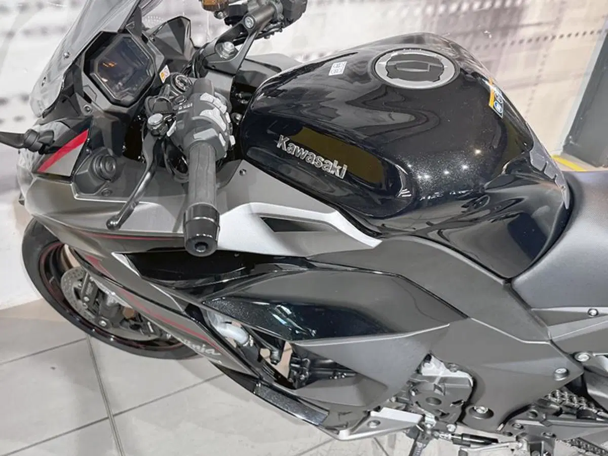 Kawasaki Ninja 1000 SX Tourer (2021 - 24) (4)