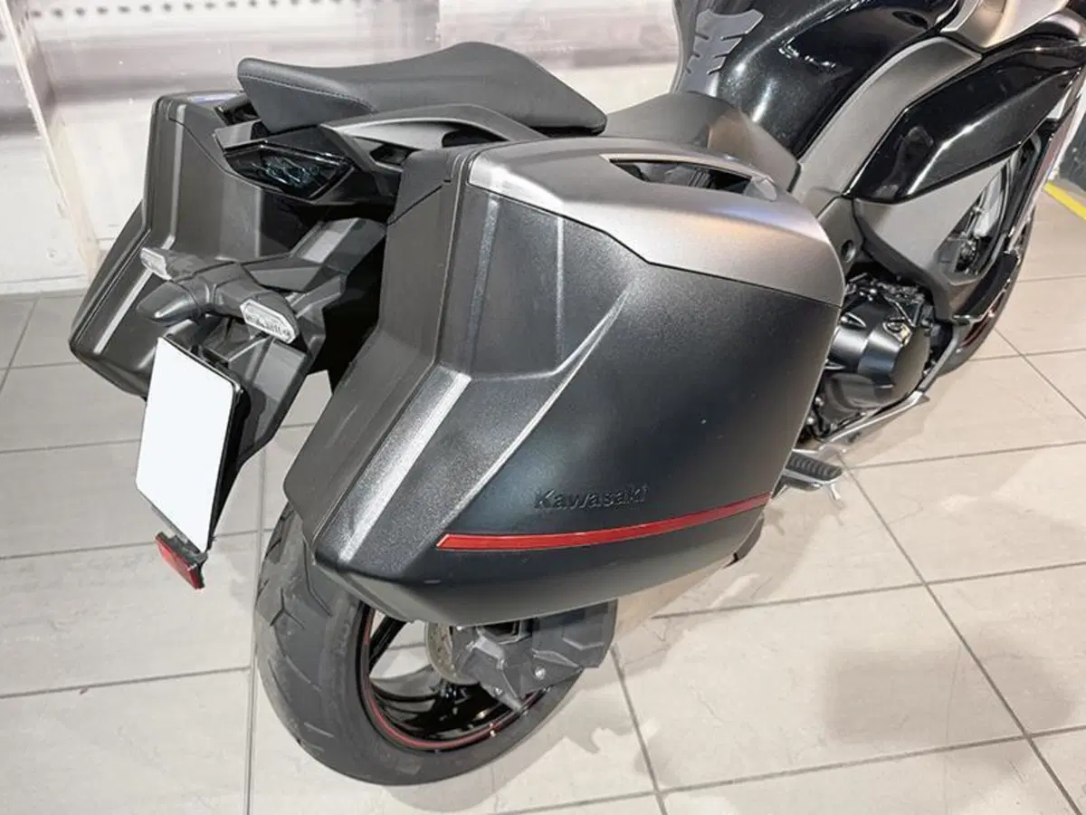 Kawasaki Ninja 1000 SX Tourer (2021 - 24) (6)