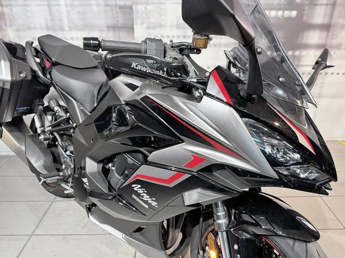 Kawasaki Ninja 1000 SX Tourer (2021 - 24) (9)
