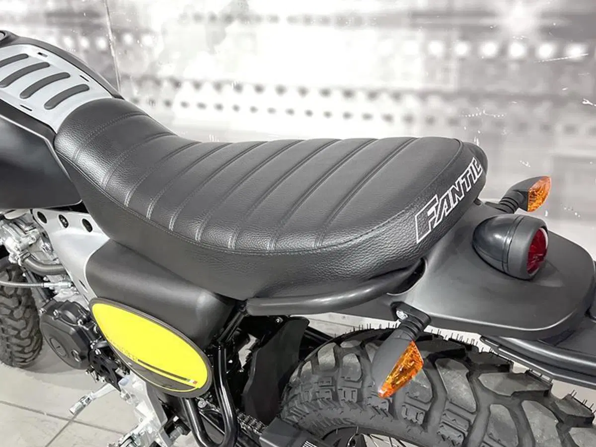 Fantic Motor Caballero 125 Scrambler (2021 - 23) (4)