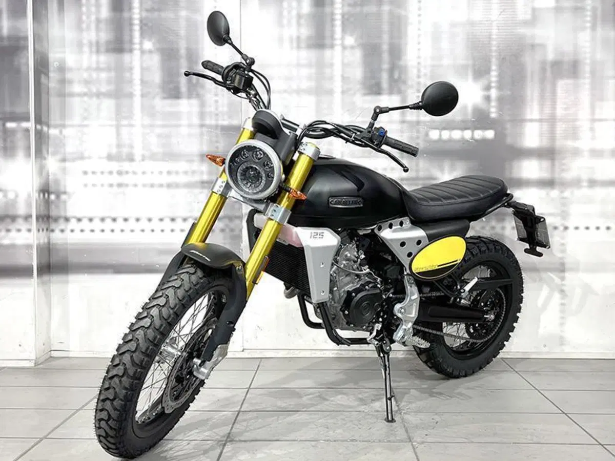 Fantic Motor Caballero 125 Scrambler (2021 - 23) (6)
