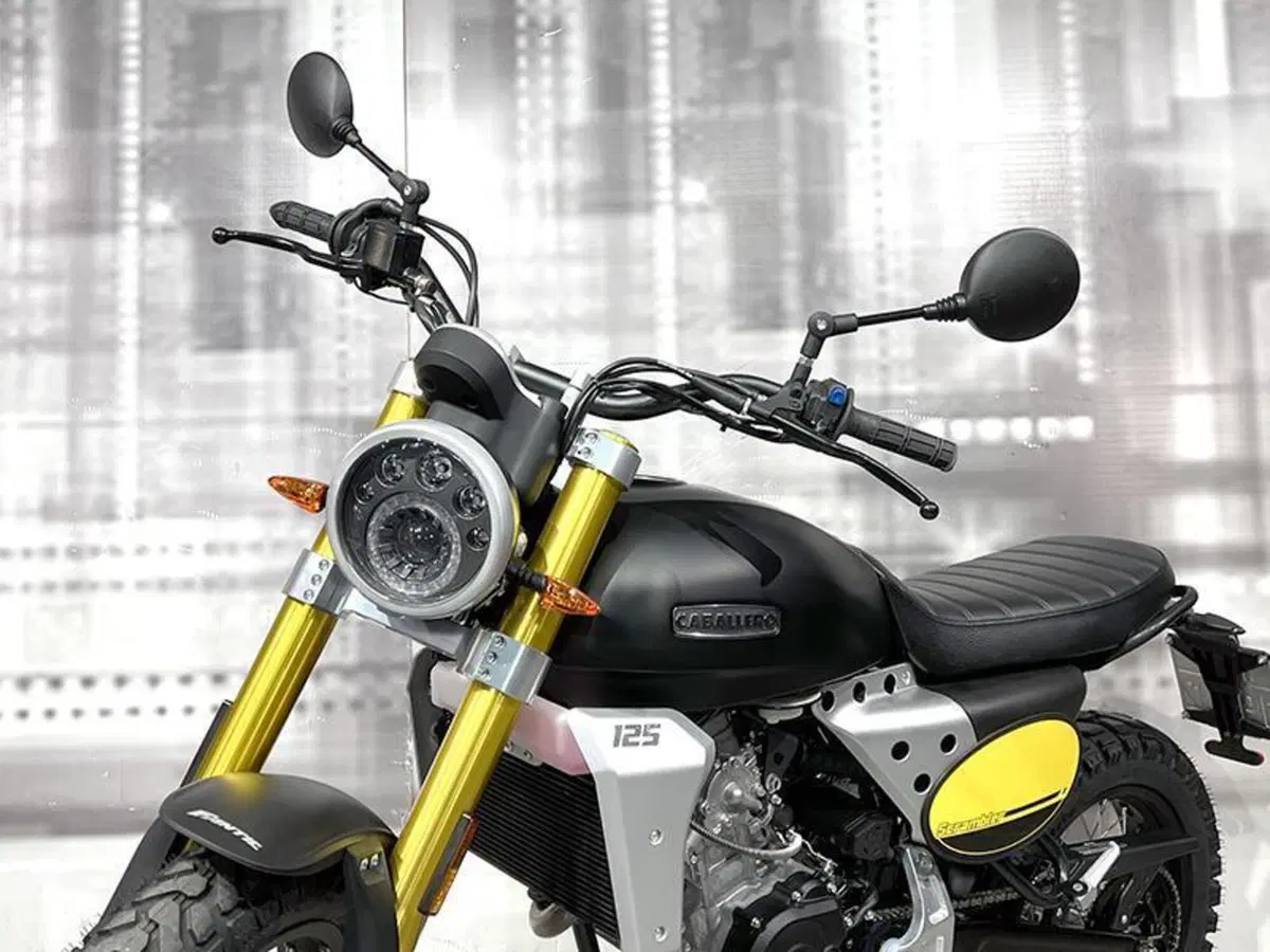 Fantic Motor Caballero 125 Scrambler (2021 - 23) (8)