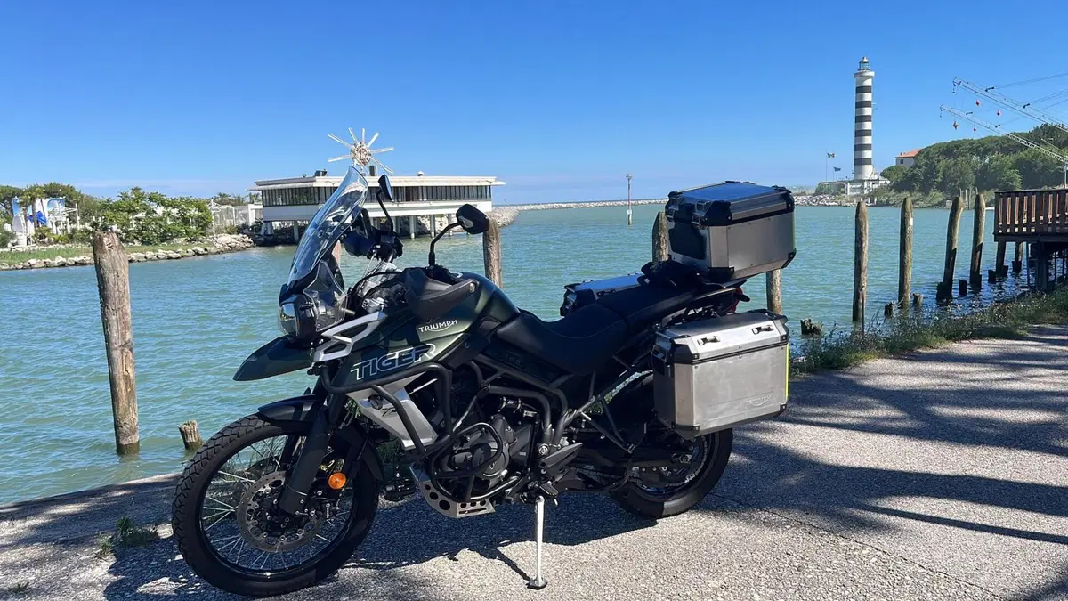 Triumph Tiger 800 XCx (2018 - 20) (4)