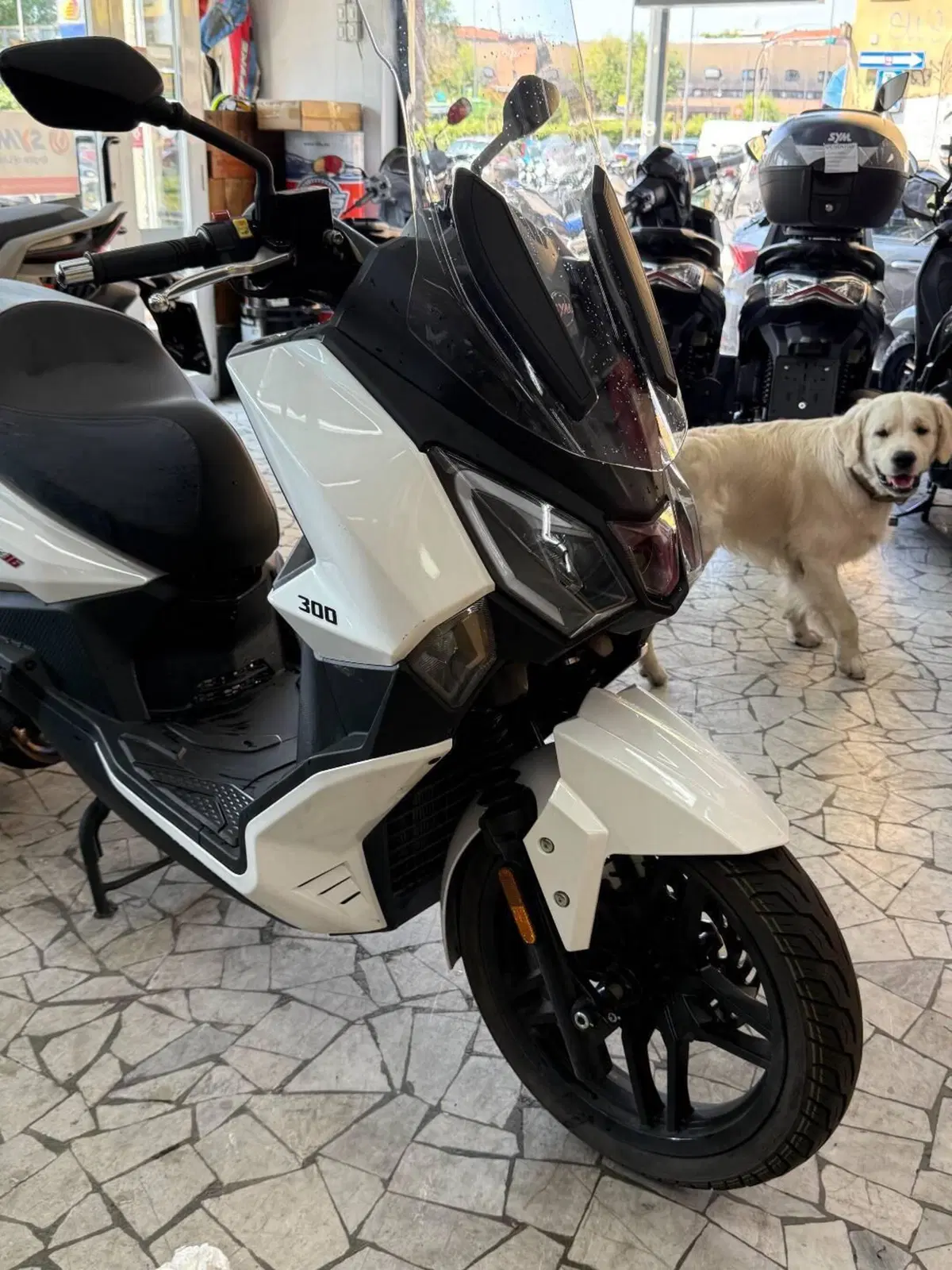 Sym Joyride 300 (2022 - 24) (3)