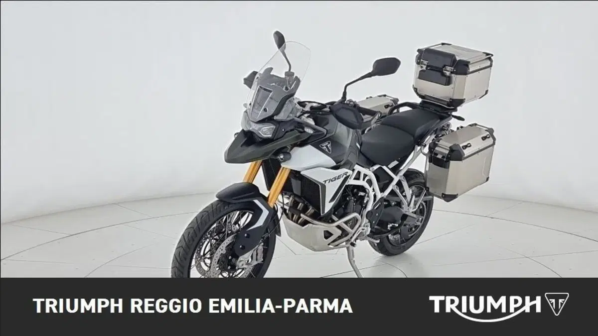 Triumph Tiger 900 Rally Pro (2024 - 26) (5)