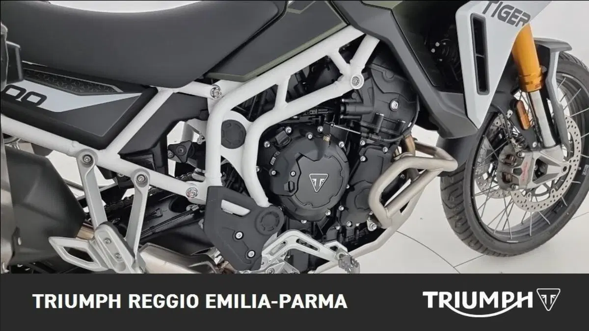 Triumph Tiger 900 Rally Pro (2024 - 26) (17)