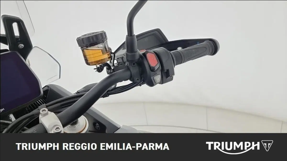 Triumph Tiger 900 Rally Pro (2024 - 26) (9)