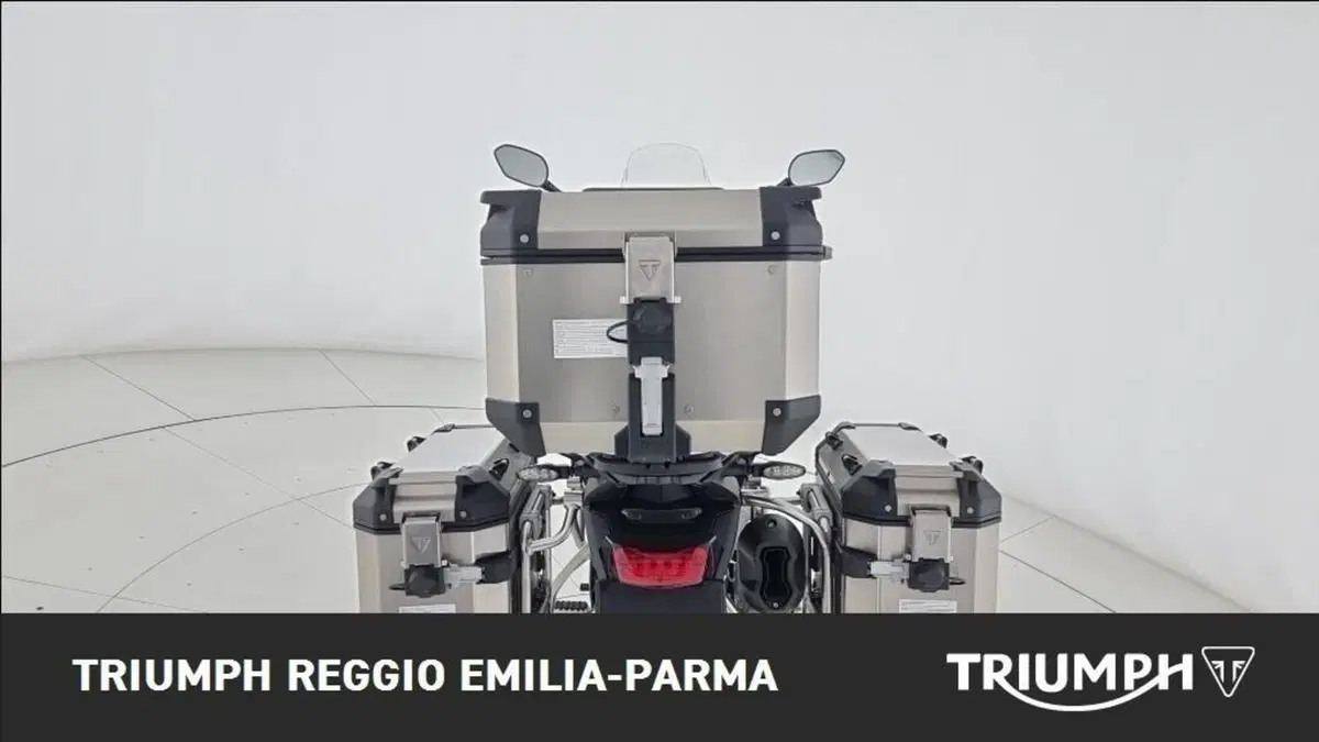 Triumph Tiger 900 Rally Pro (2024 - 26) (14)
