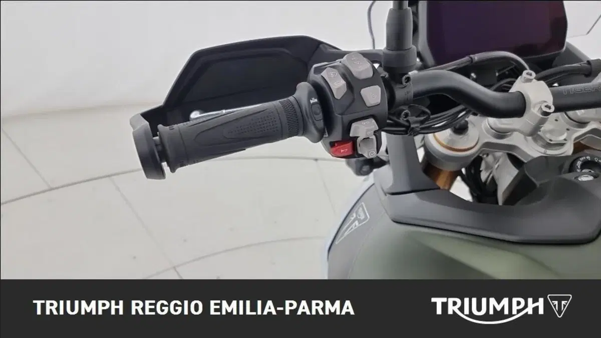 Triumph Tiger 900 Rally Pro (2024 - 26) (10)