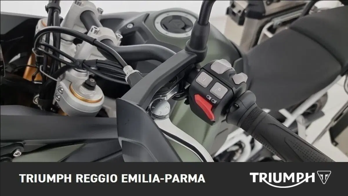 Triumph Tiger 900 Rally Pro (2024 - 26) (11)