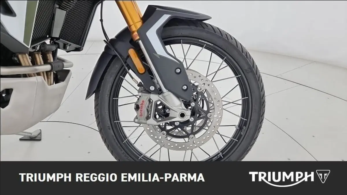 Triumph Tiger 900 Rally Pro (2024 - 26) (19)