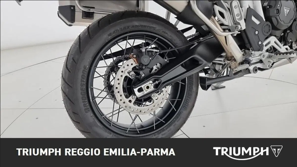 Triumph Tiger 900 Rally Pro (2024 - 26) (16)