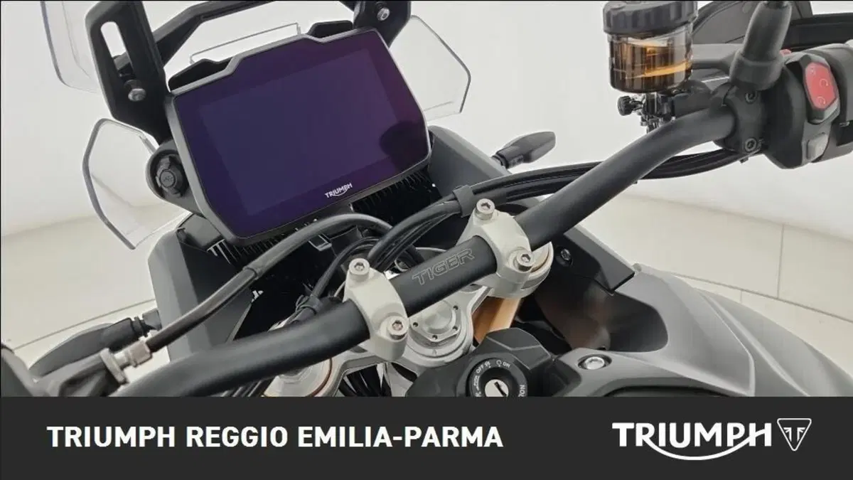 Triumph Tiger 900 Rally Pro (2024 - 26) (8)