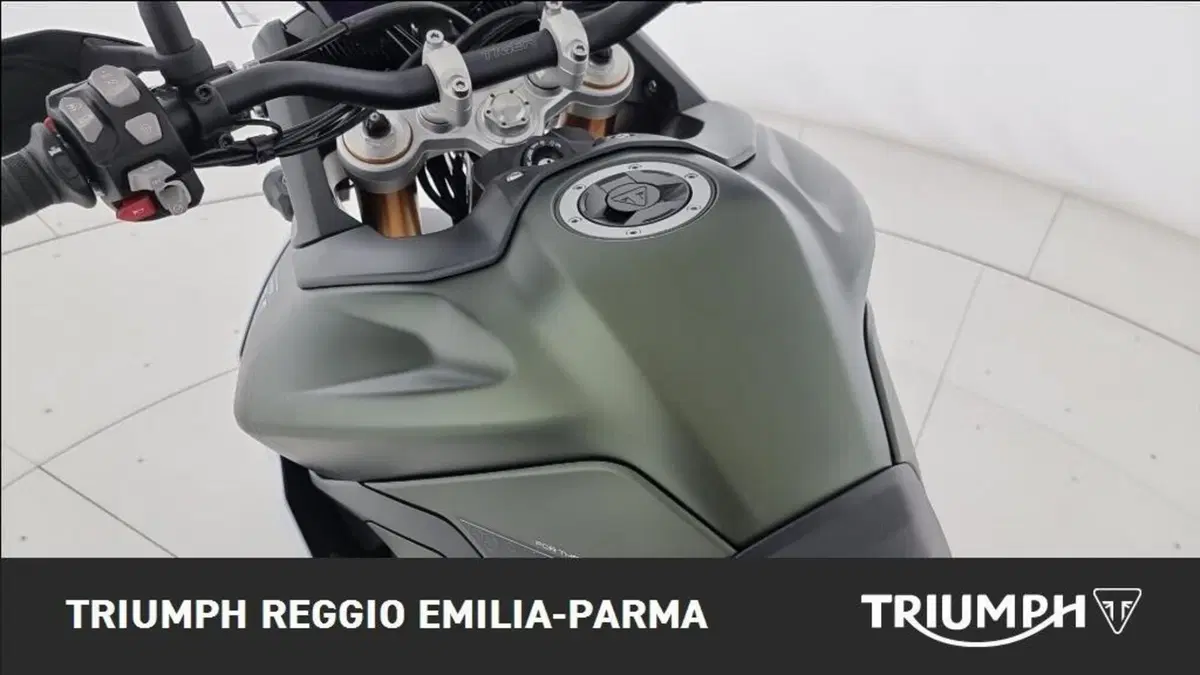 Triumph Tiger 900 Rally Pro (2024 - 26) (12)