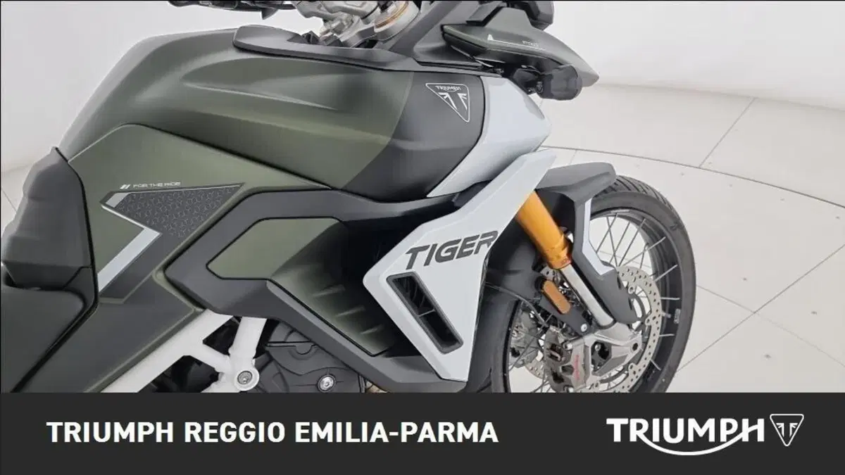 Triumph Tiger 900 Rally Pro (2024 - 26) (20)