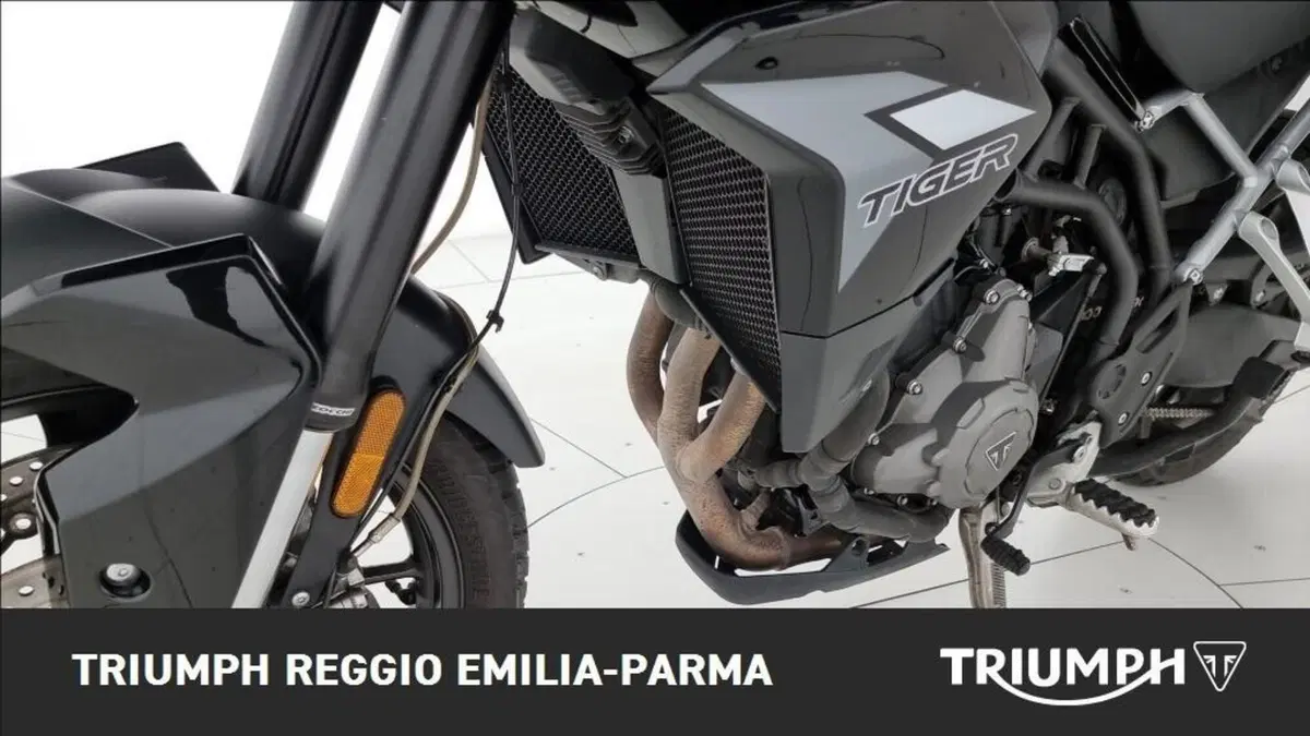 Triumph Tiger 900 (2020) (22)