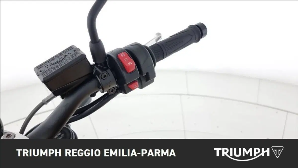 Triumph Trident 660 (2026) (10)