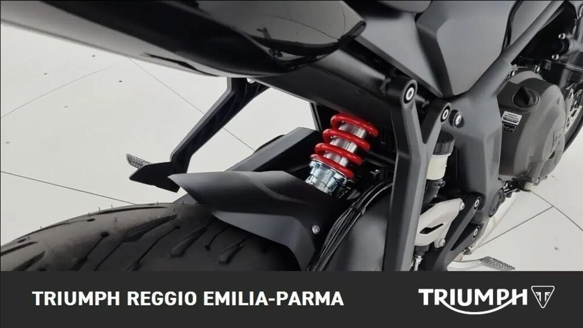 Triumph Trident 660 (2021 - 24) (18)