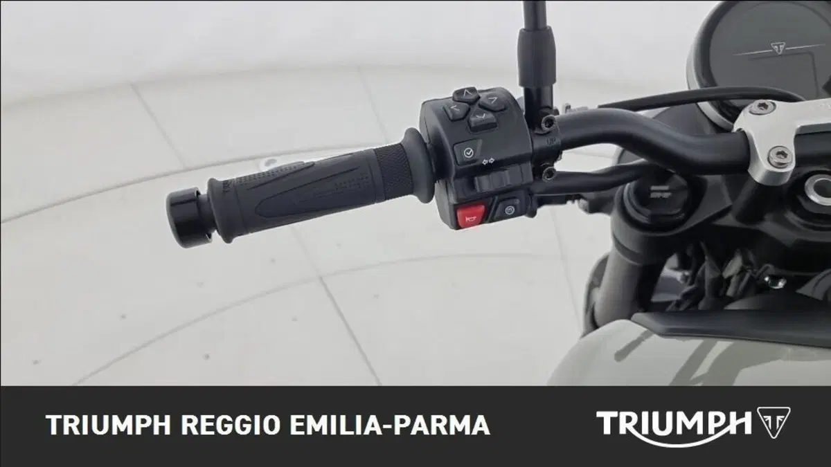 Triumph Trident 660 (2021 - 24) (11)