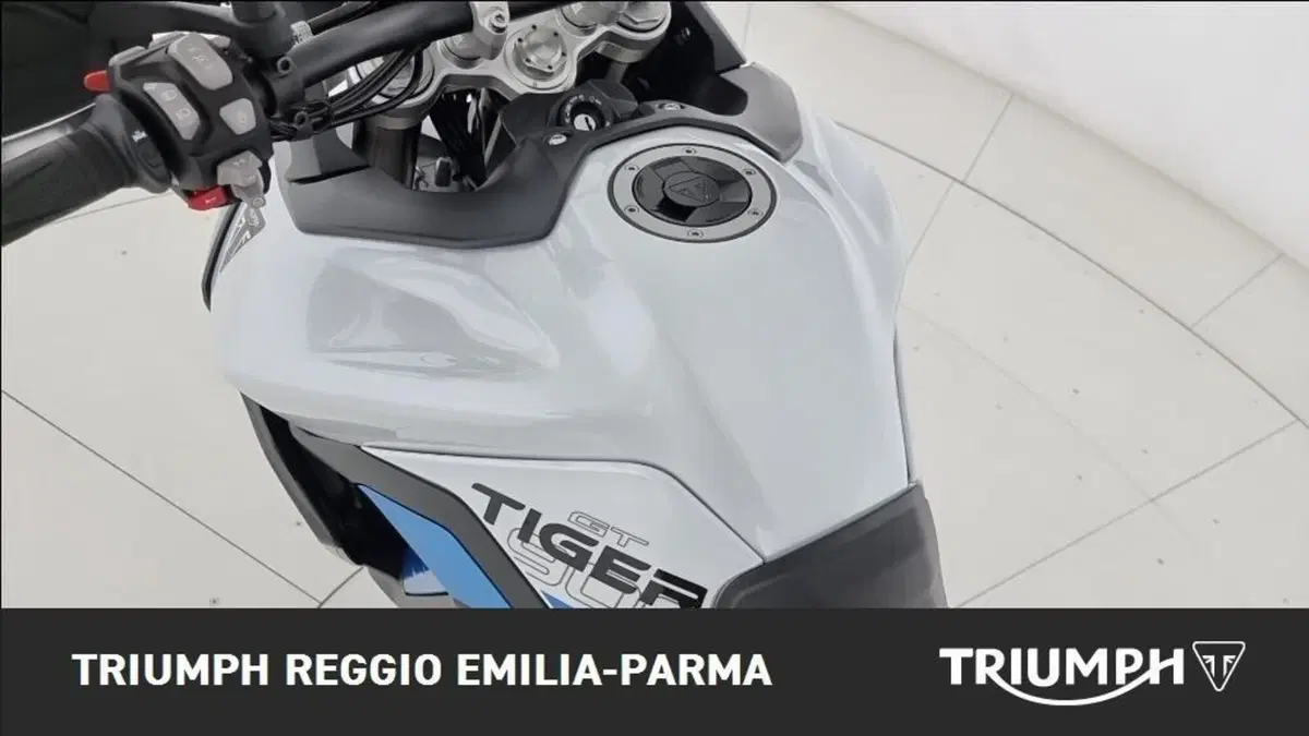 Triumph Tiger 900 Alpine Special Edition (2026) (13)