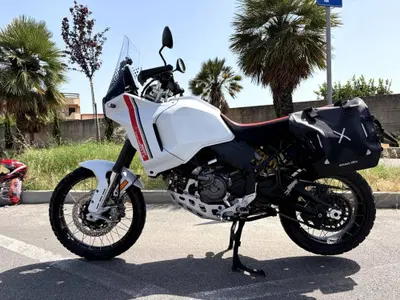 Ducati DesertX (2022 - 25) usata