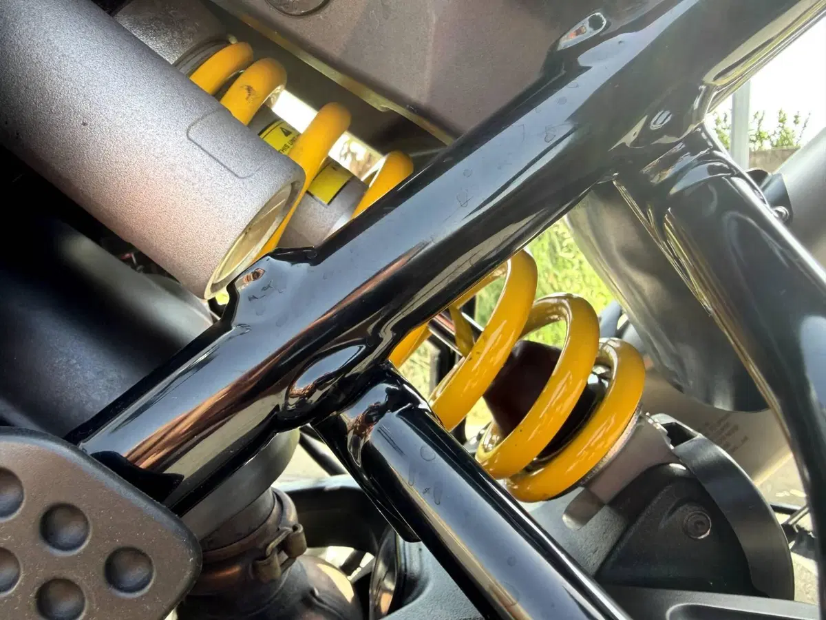 Ducati DesertX (2022 - 25) (16)
