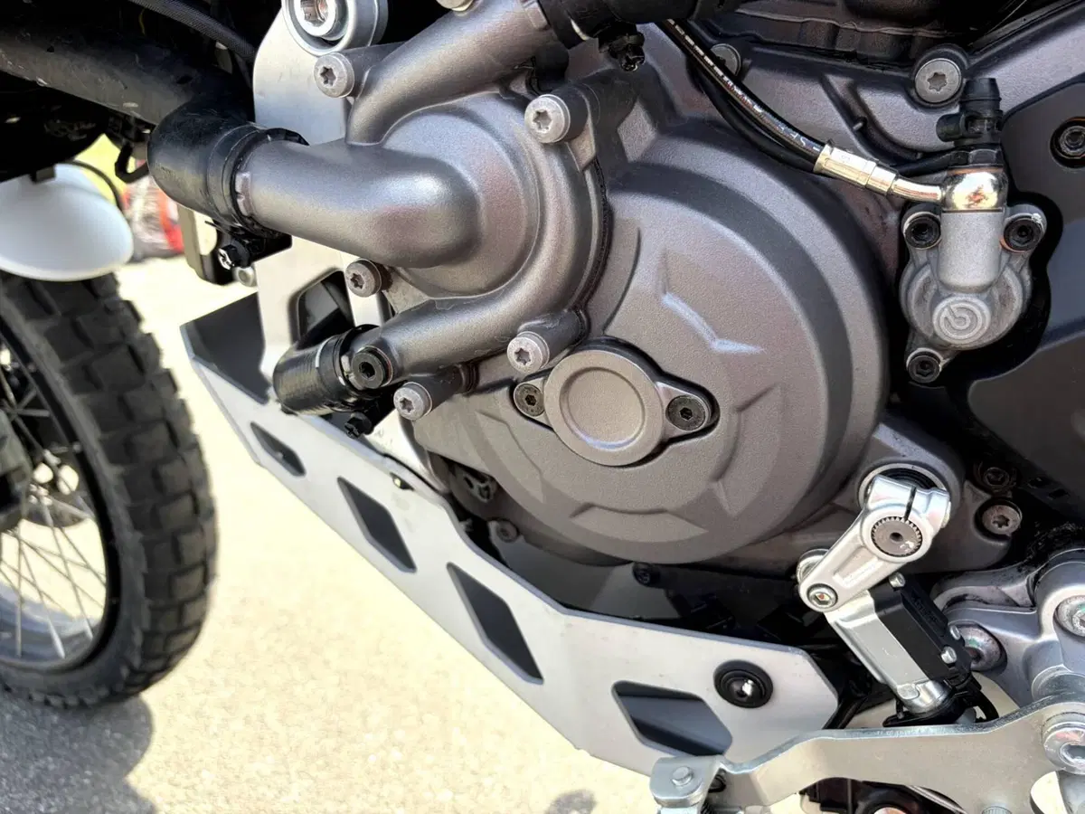 Ducati DesertX (2022 - 25) (17)