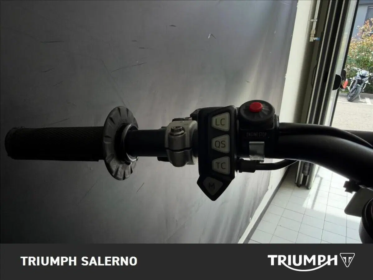 Triumph TF 250-X (2024 - 25) (5)