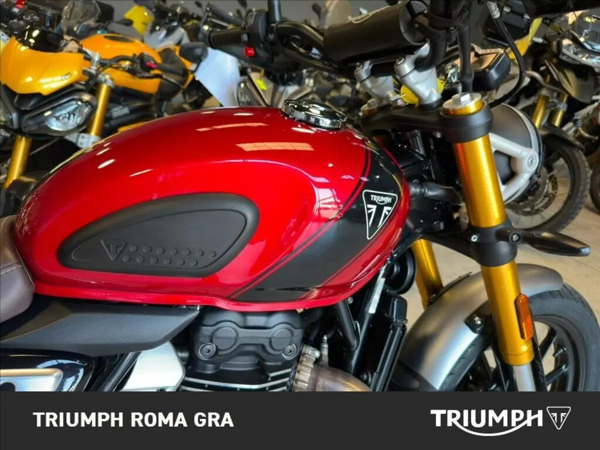 Triumph Scrambler 400 X (2024 - 26) (13)