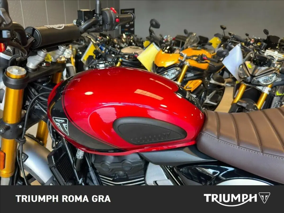 Triumph Scrambler 400 X (2024 - 26) (14)