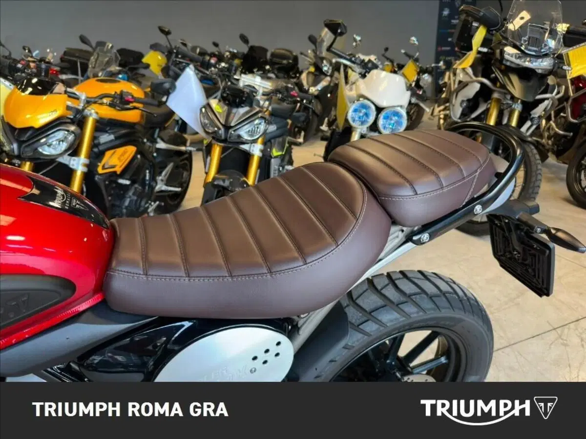 Triumph Scrambler 400 X (2024 - 26) (16)