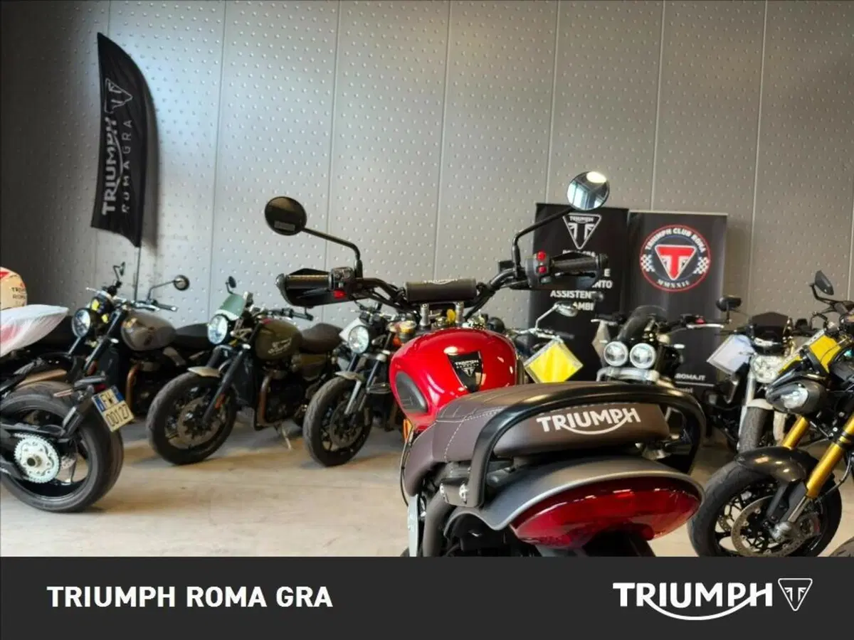 Triumph Scrambler 400 X (2024 - 26) (15)