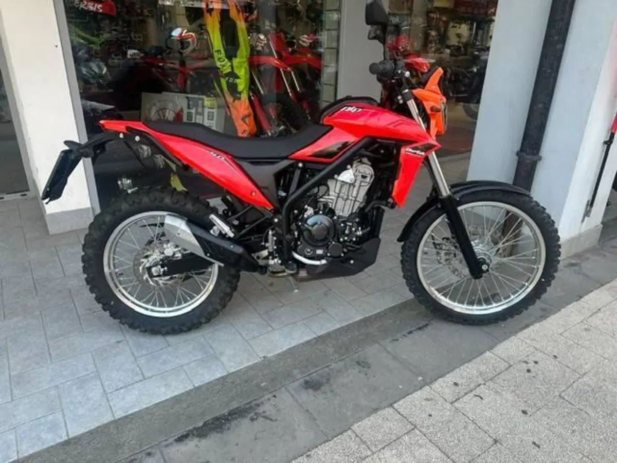 Betamotor Alp 4.0 (2024 - 26) (4)