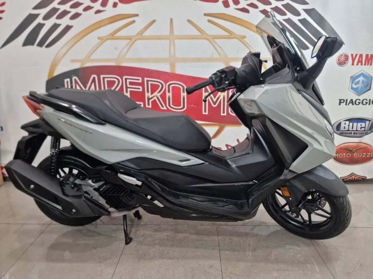 Honda Forza 125 (2023 - 24) (2)