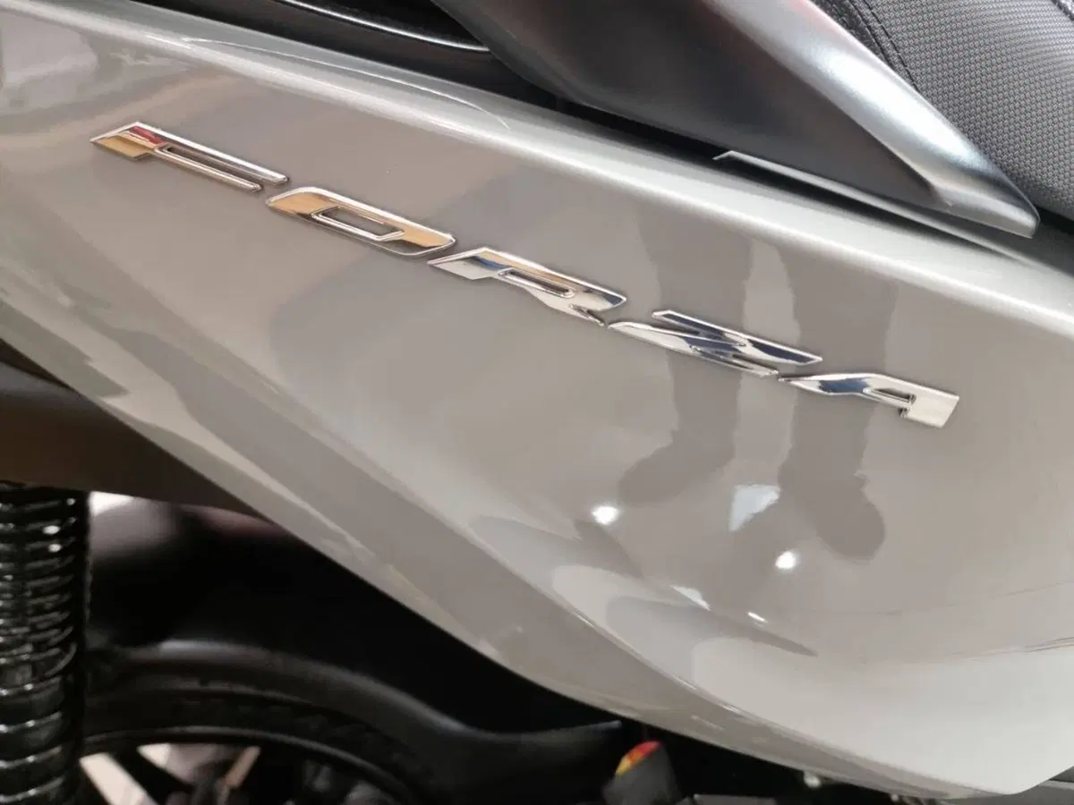 Honda Forza 125 (2023 - 24) (5)