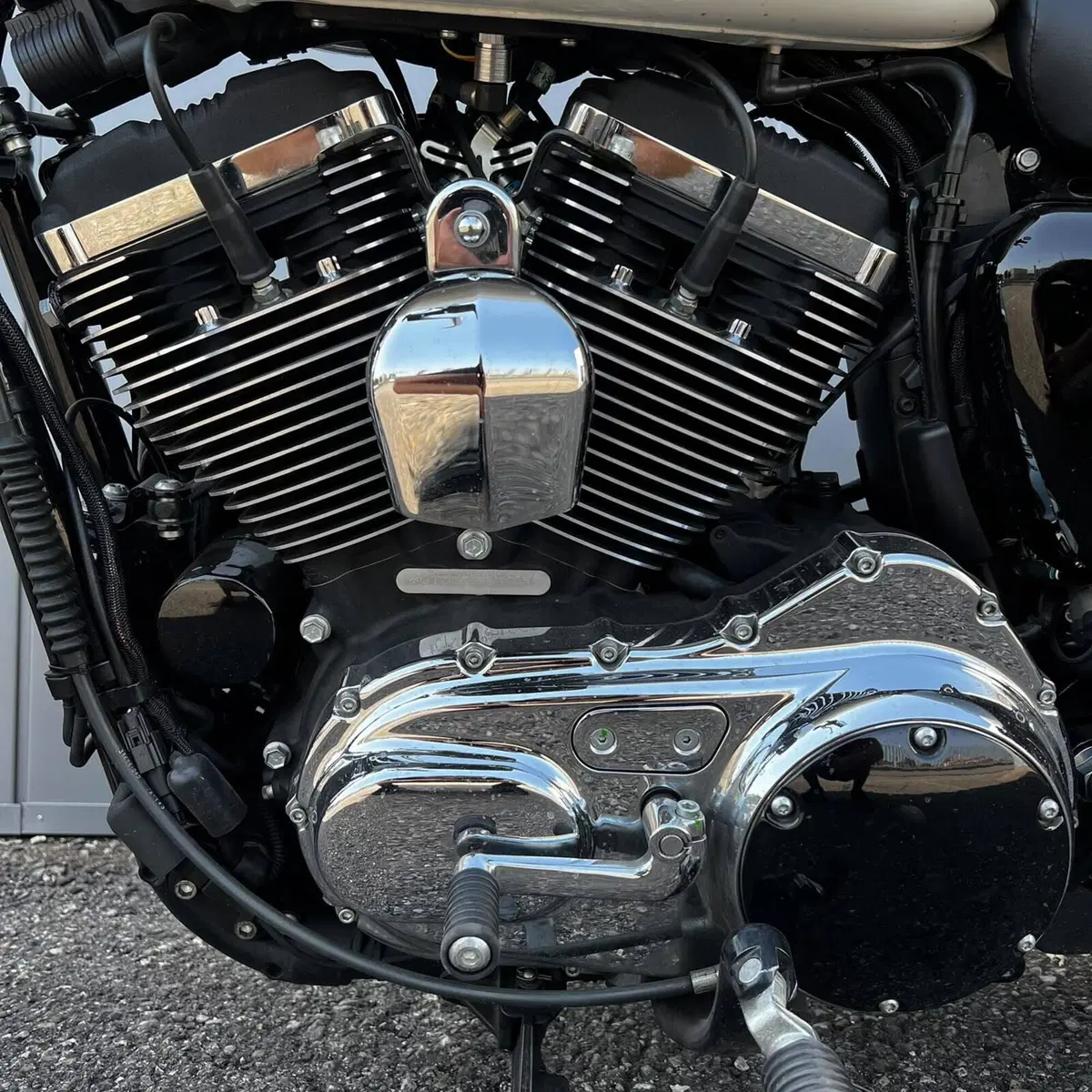 Harley-Davidson 1200 Custom CA (2013 - 17) - XL 1200CA (17)
