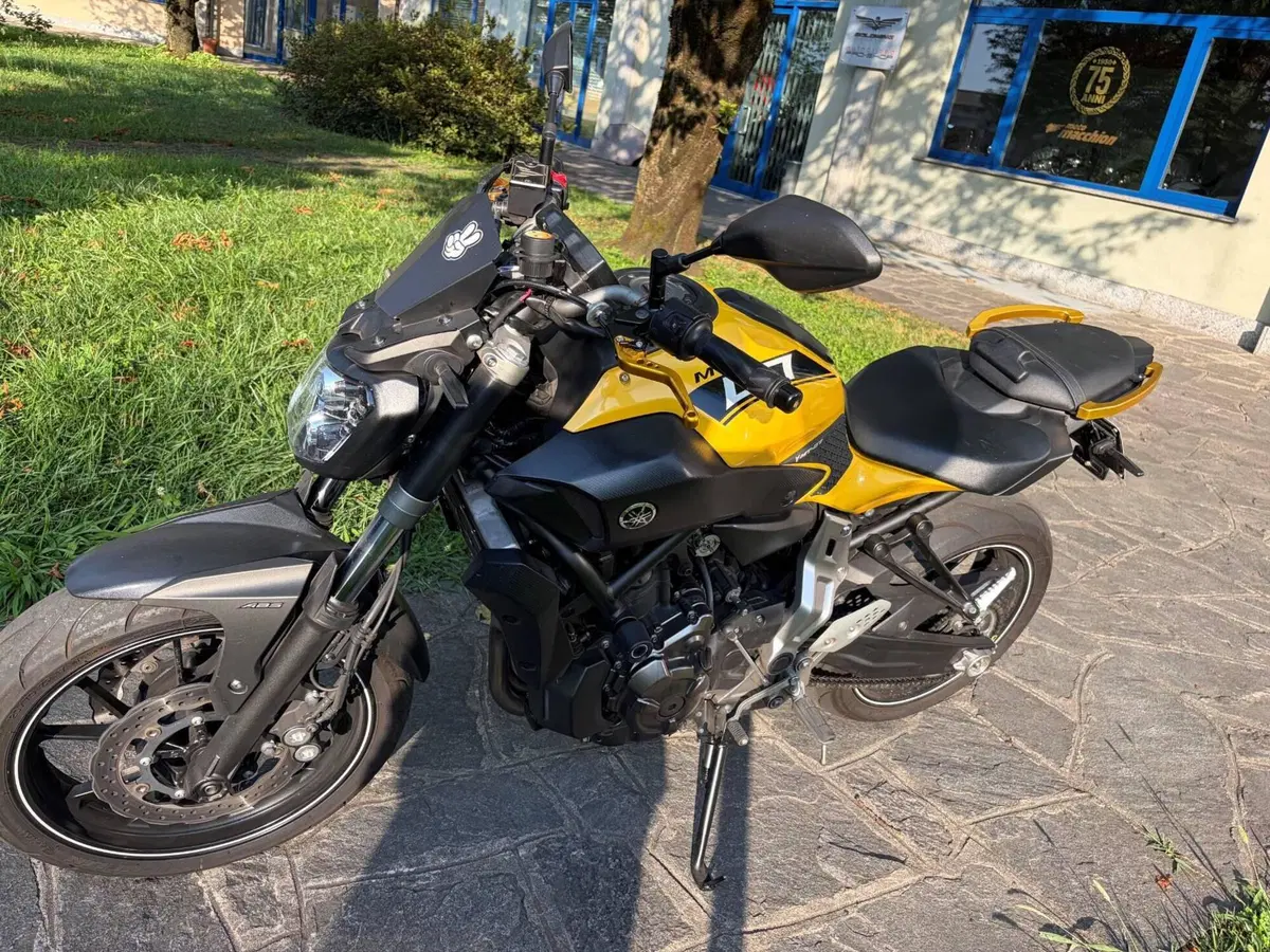 Yamaha MT-07 (2014 - 16) (3)
