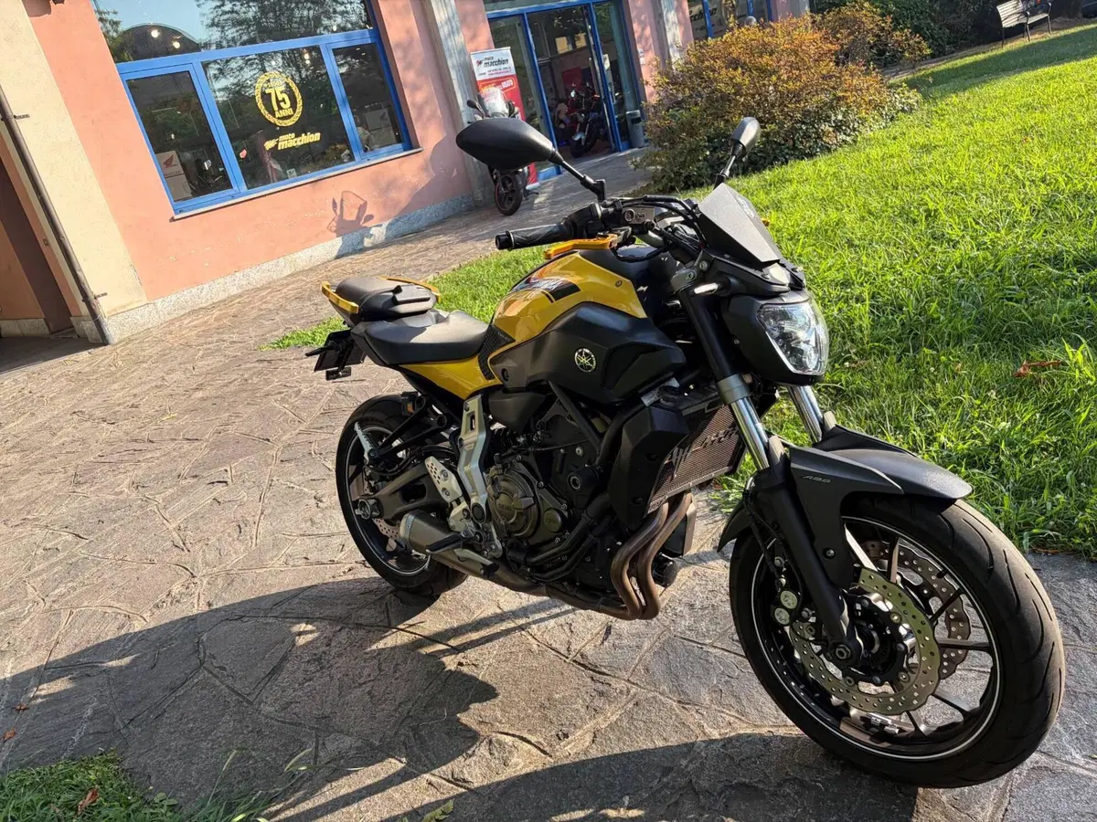 Yamaha MT-07 (2014 - 16) (4)