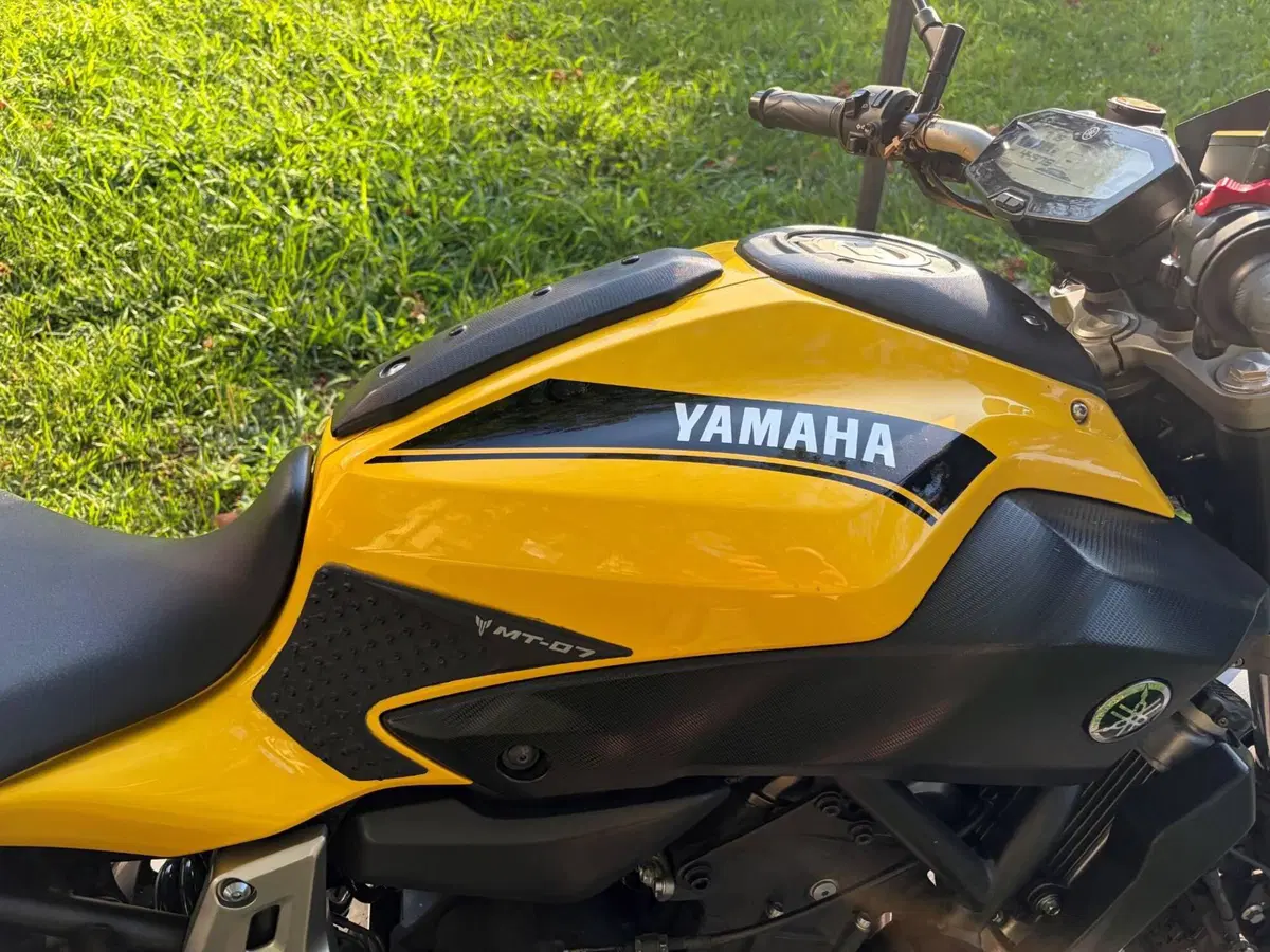 Yamaha MT-07 (2014 - 16) (6)