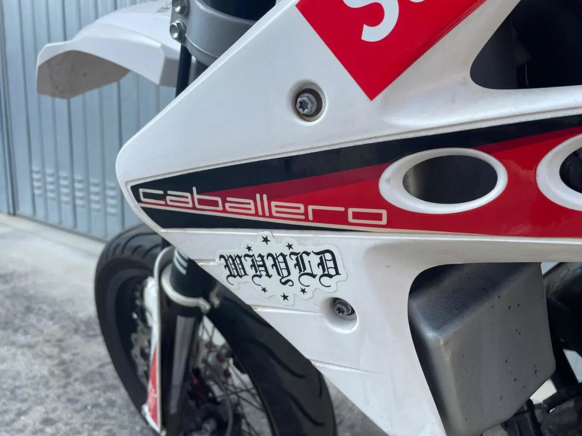 Fantic Motor Caballero 50 Regolarità Six Days (2014) (9)