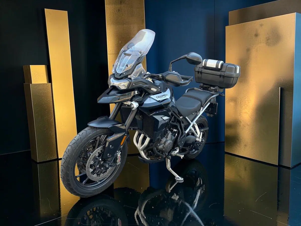 Triumph Tiger 900 GT Pro (2020 - 23) (4)