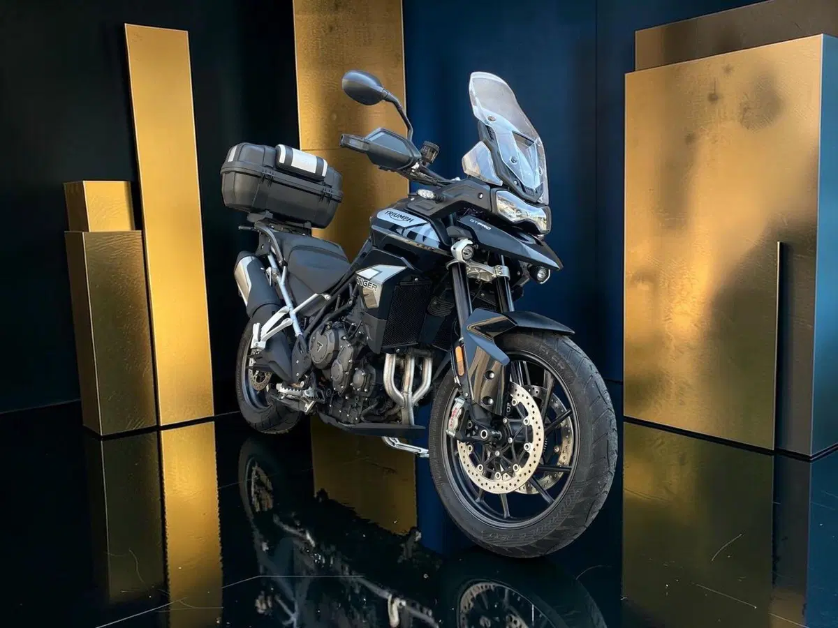 Triumph Tiger 900 GT Pro (2020 - 23) (5)