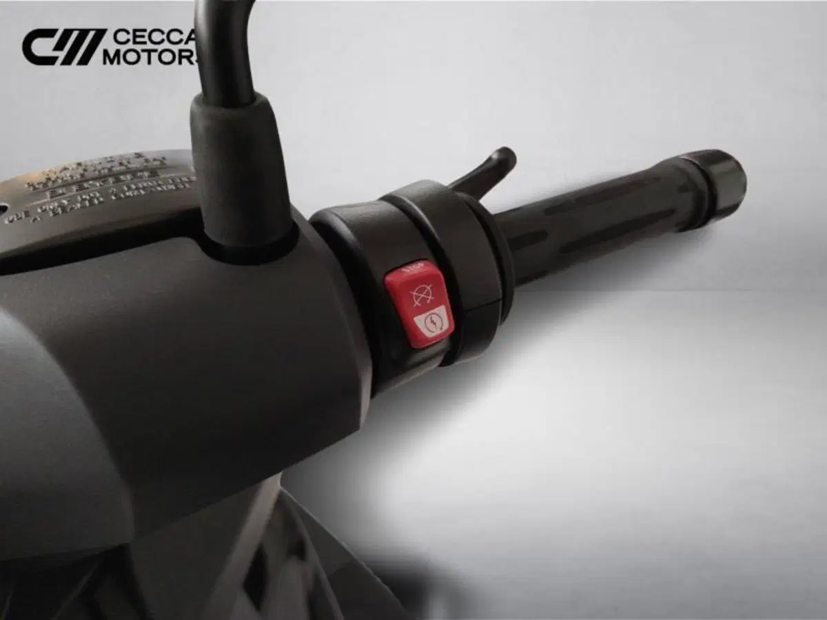 Bmw C 400 GT (2021 - 24) (13)